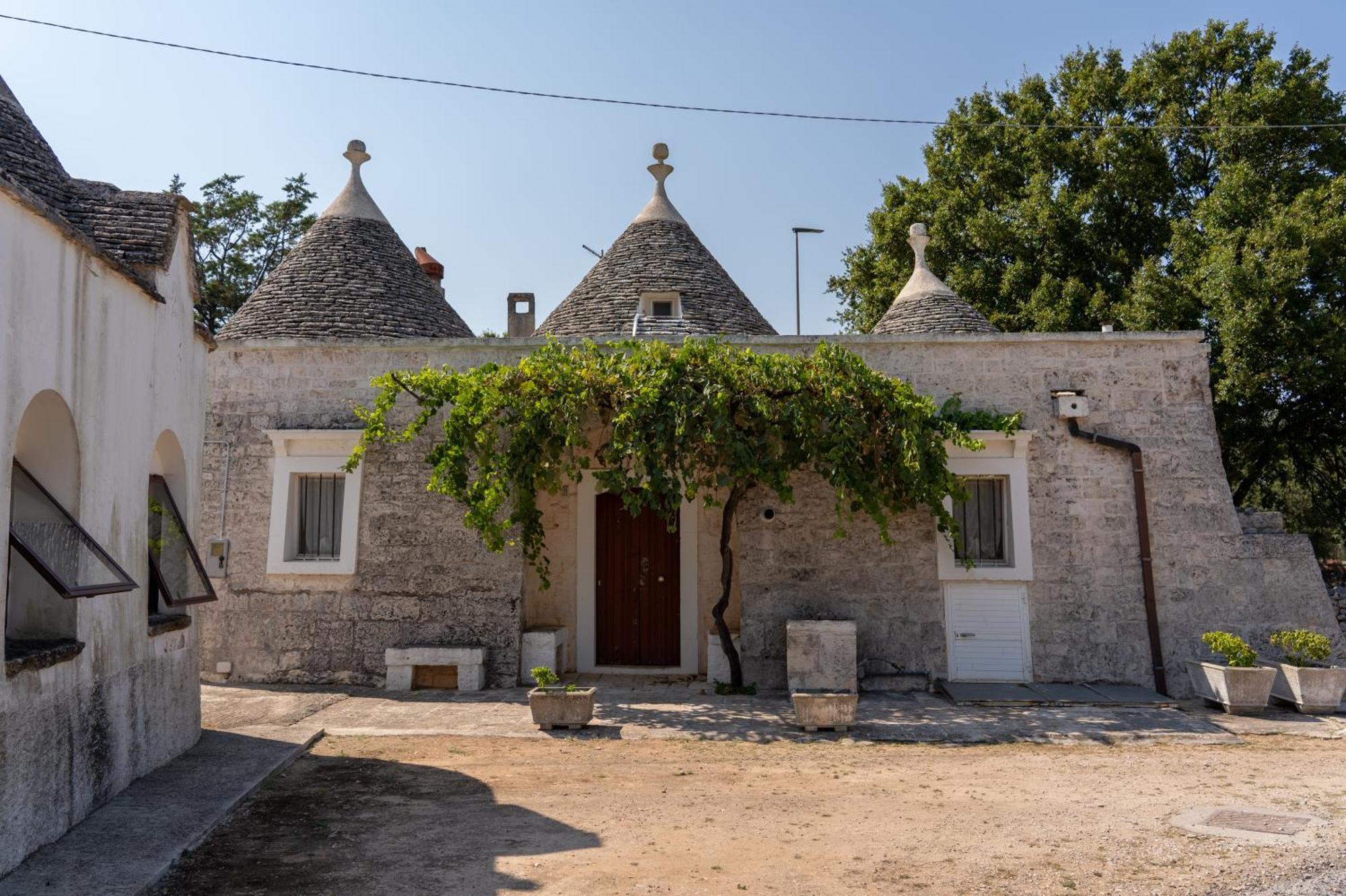 אלברובלו Trullo Vacanze Di Cumma Rosa מראה חיצוני תמונה