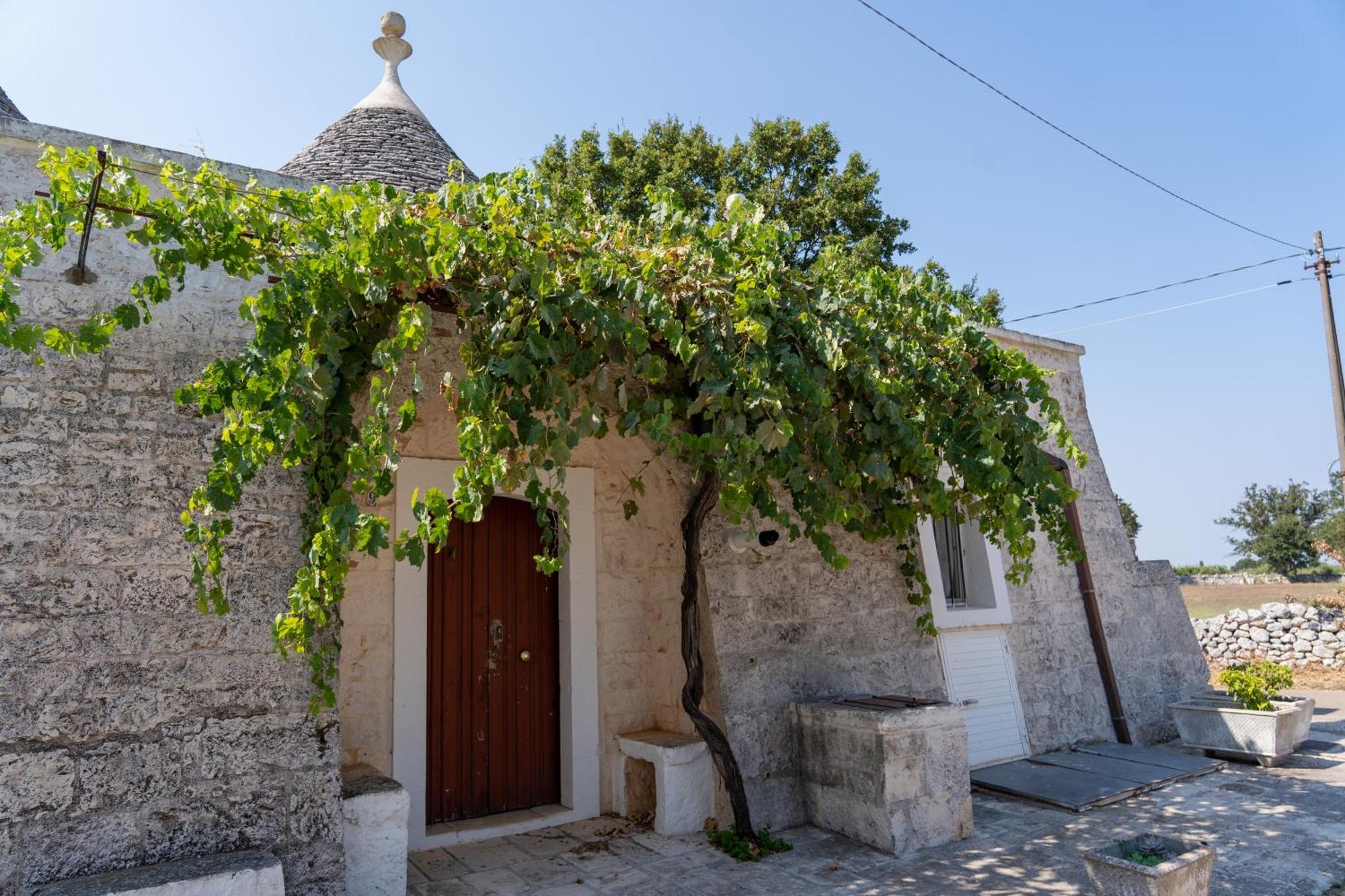 אלברובלו Trullo Vacanze Di Cumma Rosa מראה חיצוני תמונה